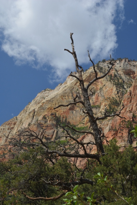 In the Kayenta-Emerald Pools Trail